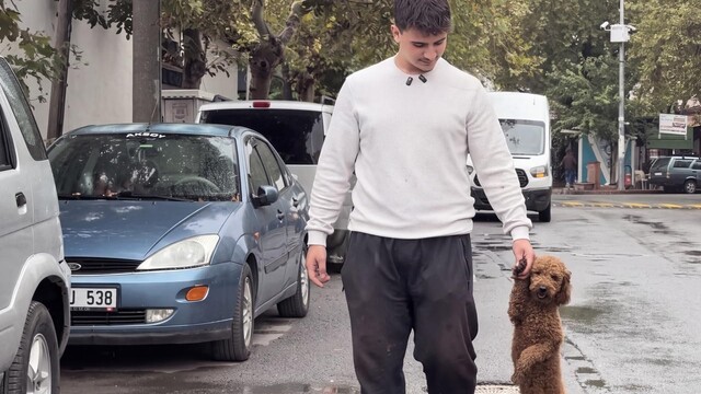 Köpeğini patisinden tutarak yürüten vatandaştan açıklama
Gündem olan 'pati tutma' görüntüsüne yapılan eleştirilere sahibinden yanıt