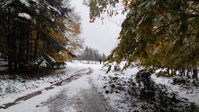 Bolu'nun doğa harikası Abant'ta sonbahar ve kış bir arada