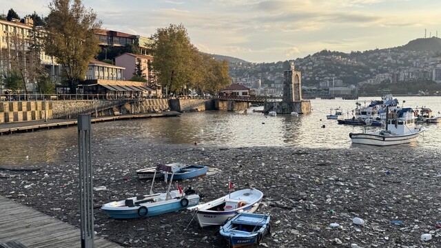 Limanda şaşırtan görüntü