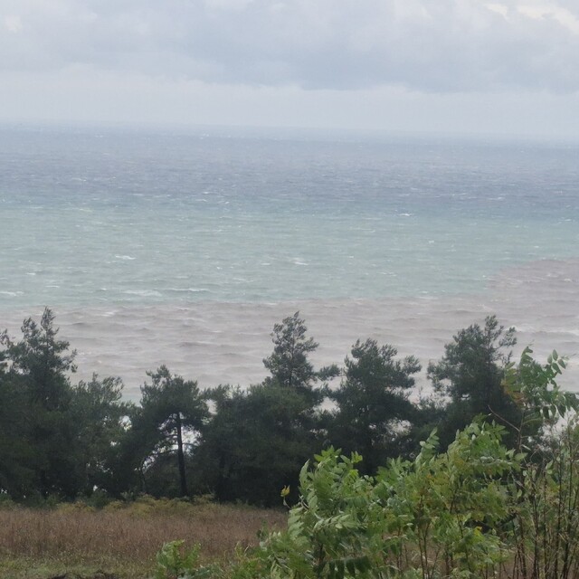 Karadeniz'in rengi kahverengiye dönüştü