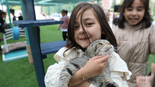 Kayseri'deki "Küçük Dostlar Kedi Kasabası" ziyaretçilerini ağırlıyor