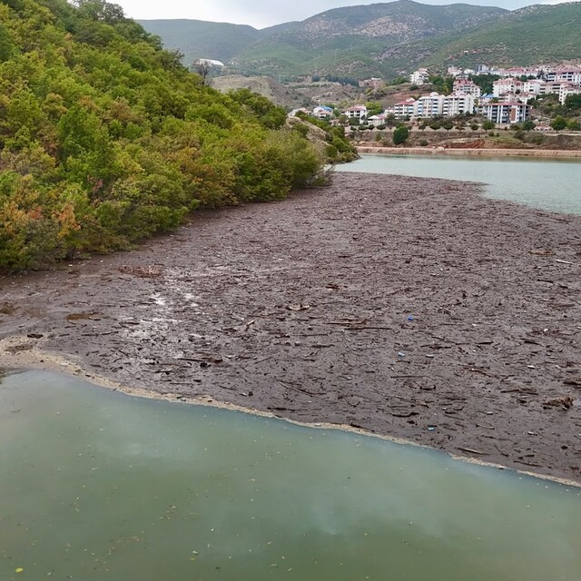 Tunceli'de suların taşıdığı atıklar, baraj gölü kıyısında birikti