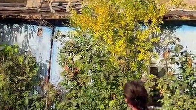 Erzurum'da ezber bozan dostluk: Dağ keçileri evin çatısını mesken tuttu
Ürkek canlılar güvenli limanı Erzurum'da buldu, Liderlerine 'Kamir' adını verdi, hem besliyor hem koruyor