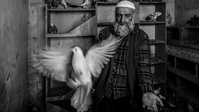 Ara Güler'in izinde Manisa imzası