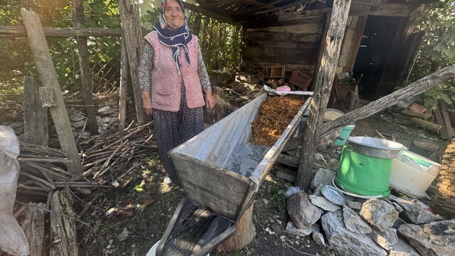 Sırrı meşe külünde saklı
Toroslar'da pekmez mesaisi sona erdi: 77 yaşındaki Fatma nine geleneği yaşatıyor
Ezilerek elde edilen şıra, meşe külüyle kaynatıyor kilosu 500 liradan satılıyor
