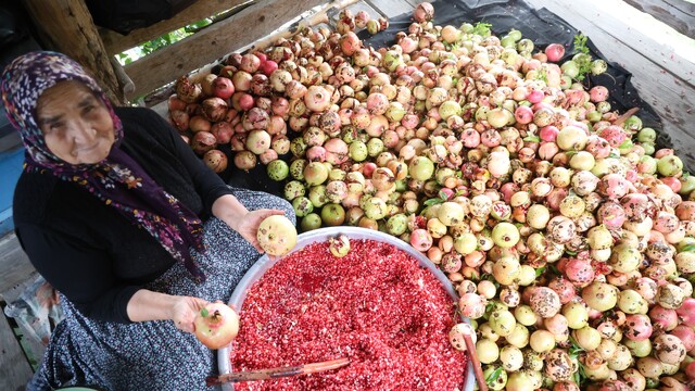 80 yaşındaki Yeter nine, nar tanelerinin başında geleneği yaşatıyor
Coğrafi işaret ile lezzeti tescilli Kuytucak narında hasadın ardından nar ekşisi mesaisi başladı