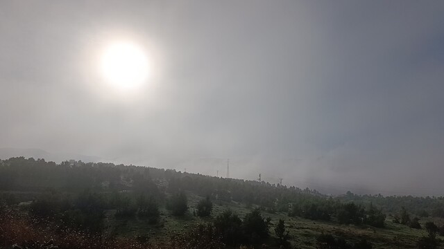 Bingöl'de yoğun sis oluştu