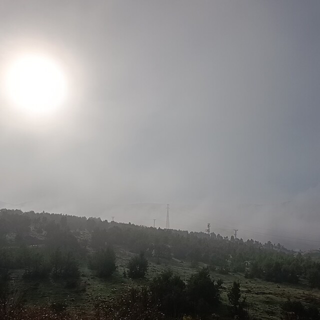 Bingöl'de yoğun sis oluştu