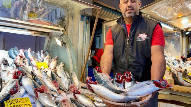Tezgahların şampiyonu 'palamut'
