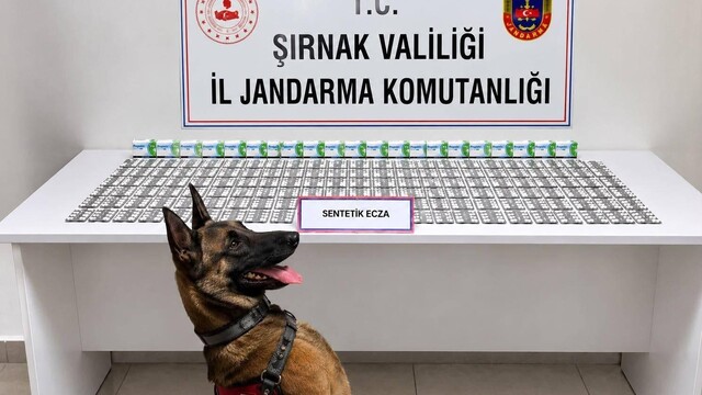 Şırnak'ta jandarmadan uyuşturucu ve aranan şahıslara operasyon: 12 tutuklama
