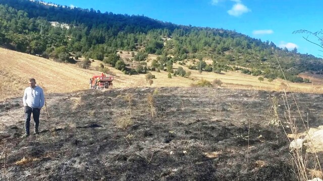 Emet'te ot yangını: 2 dekar alan zarar gördü