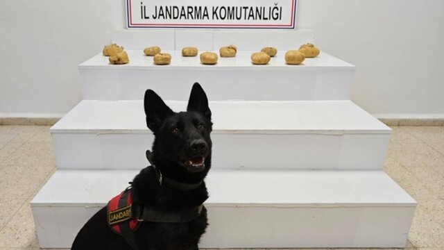 Van'da 11 kilo 958 gram esrar ele geçirildi