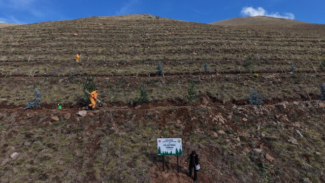 Galeri