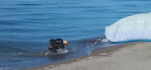 Ordu'da yamaç paraşütçüsü denize indi