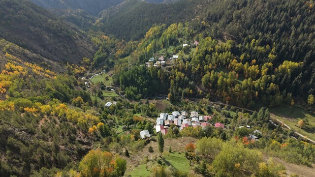 Galeri