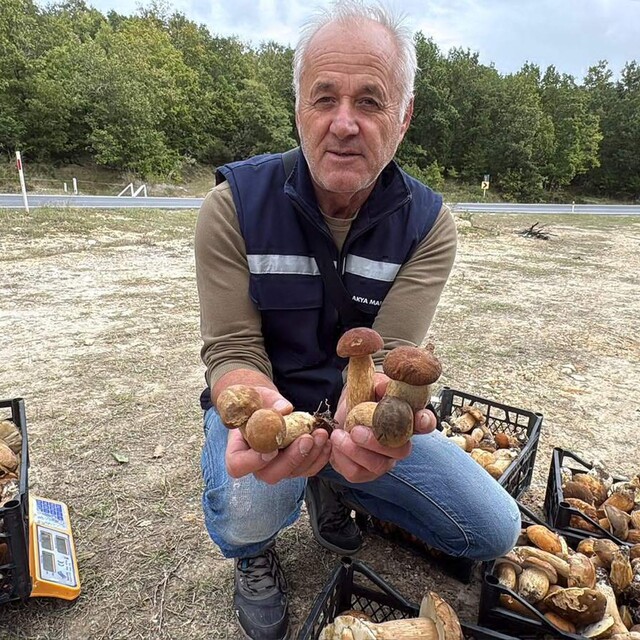Istranca Ormanları'nda mantar bereketi