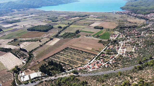 Galeri