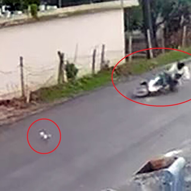 Kediye çarpmamak için manevra yaptığı motosikleti devrilen sürücü yaralandı