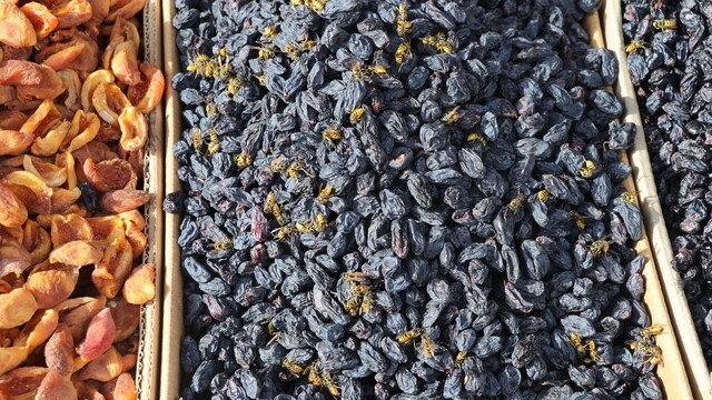 Sivas'ta yaban arıları tezgahların davetsiz misafirleri oldu
Çetindağ: "Arıların fazla olması tabiatın güzel bir şekilde çalıştığının kanıtı"