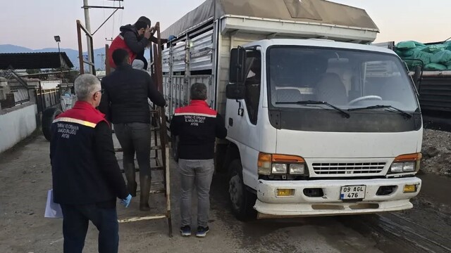 Aydın'da hayvan pazarında sıkı denetim