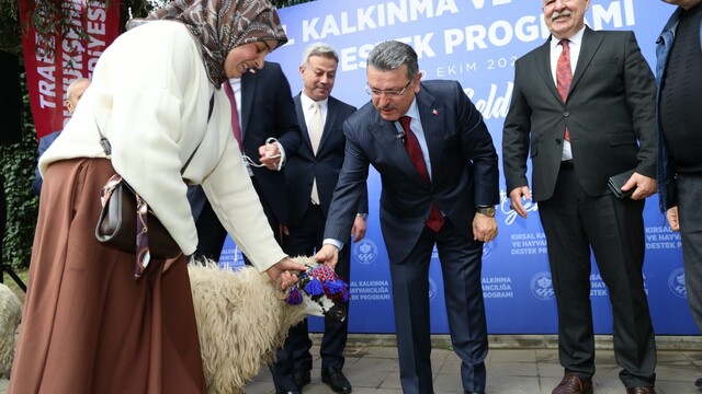 Trabzon'da hayvancılığa destek sürüyor
Maçka ilçesinde 36 yetiştiriciye yüzde 90 hibe desteğiyle 180 yerli Karayaka koyunu dağıtıldı