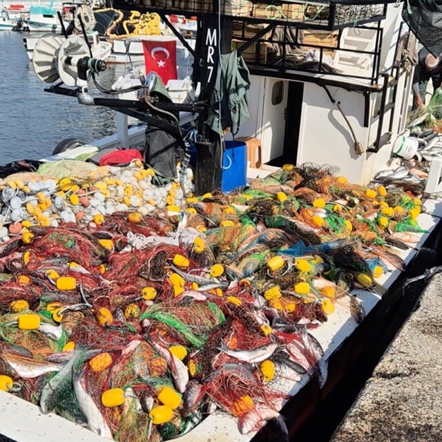 Tekirdağ'da tekneyle denize açılan balıkçılar, 1,5 ton kefal avladı