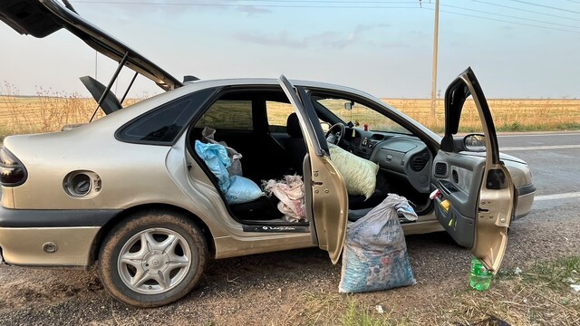 Şanlıurfa'da 4 fıstık hırsızı suçüstü yakalandı