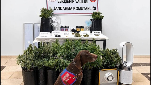 Eskişehir'de uyuşturucu operasyonunda bir şüpheli yakalandı