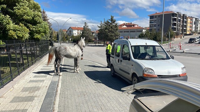 Karaman'da firari atın otomobile çarptığı anlar kameraya yansıdı