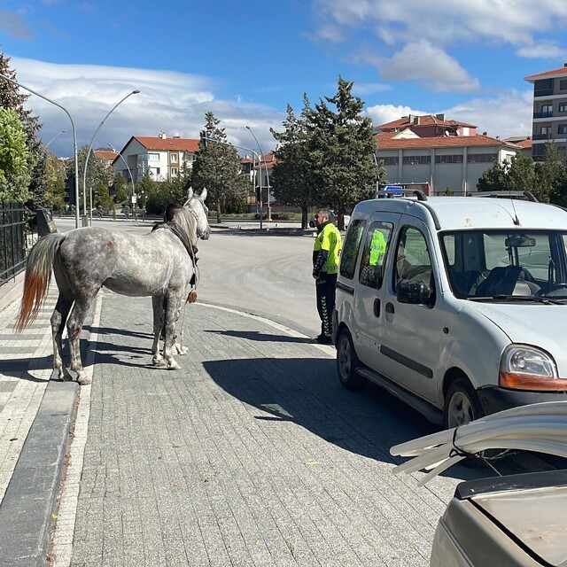 Karaman'da firari atın otomobile çarptığı anlar kameraya yansıdı