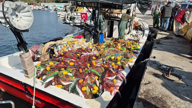 Marmara'da kefal bereketi: Tekne ağzına kadar doldu!
Balıkçıların yüzünü güldüren av: Tekne 1,5 ton kefalle döndü