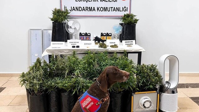 Eskişehir'de 21 poşet kenevir ve çok sayıda uyuşturucu madde jandarma tarafından ele geçirildi