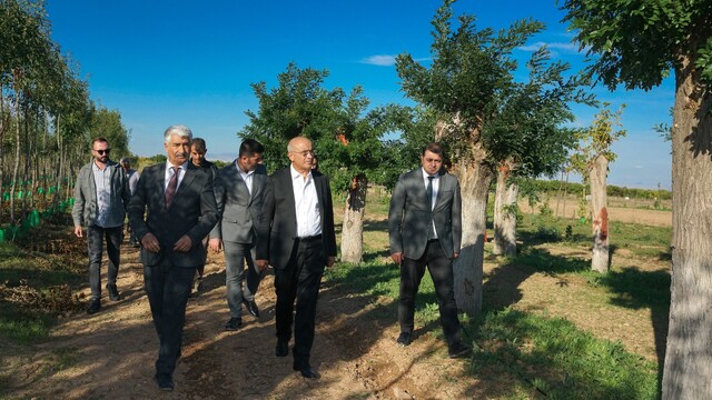 Büyükşehir'den yılda 20 bin fidan ve 50 bin metrekare rulo çim üretimi