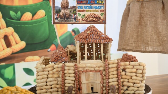 Osmaniye'de öğrenciler yer fıstığının hikayesini sanatla anlattı