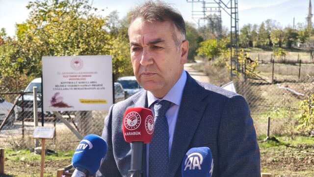 Karabük'te AB tescilli safranın hasadı sürüyor