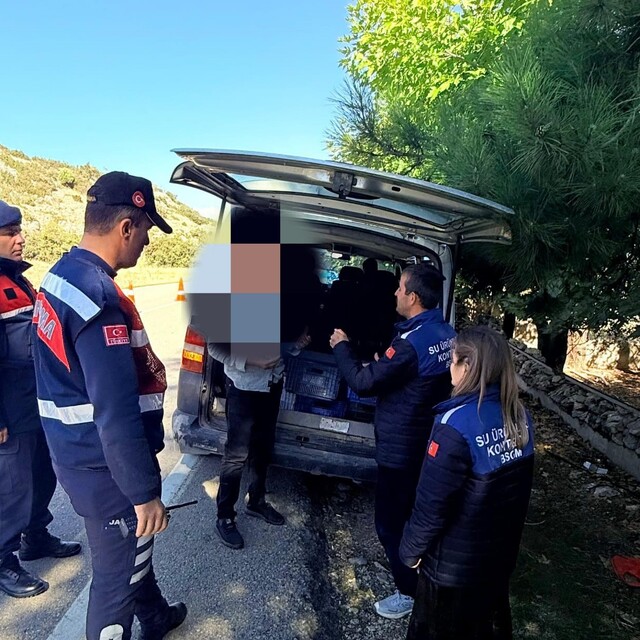 Eğirdir'de yol denetiminde 50 kilo gümüşi havuz balığı ele geçirildi
Belge...