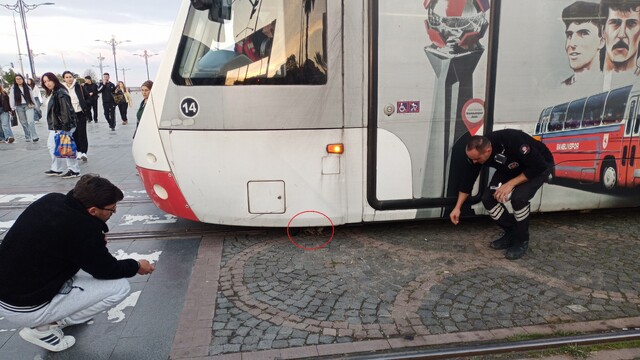 Samsun'da yürekleri ağza getiren anlar
Tramvayın altında kalan yavru kedi sağ çıktı