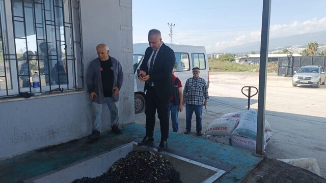 Hatay'da kaliteli zeytinyağı üretimi için hasat uyarısı
