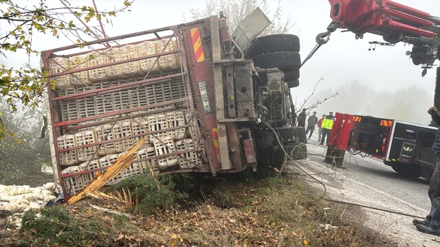 Bolu'da tavuk yüklü kamyonun devrilmesi sonucu 4 kişi yaralandı