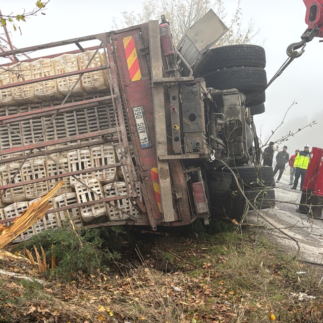Bolu'da tavuk yüklü kamyonun devrilmesi sonucu 4 kişi yaralandı