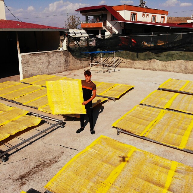 Kahramanmaraş tarhanasında sezon sona erdi: Üretim 3 bin 650 ton