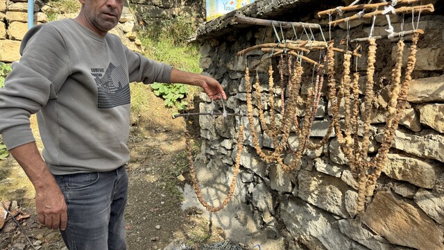 Diyarbakır'da bağ bozumu başladı