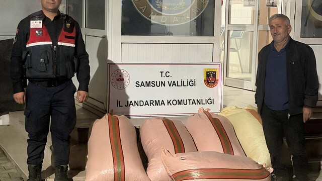 Samsun'da fındık dolandırıcılığı iddiasıyla 2 şüpheli yakalandı