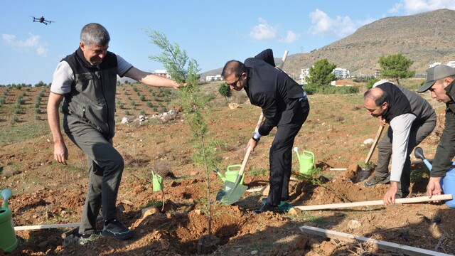 Silifke'de Şehit Savcı Mehmet Selim Kiraz Hatıra Ormanı yeniden yeşilleniyor
