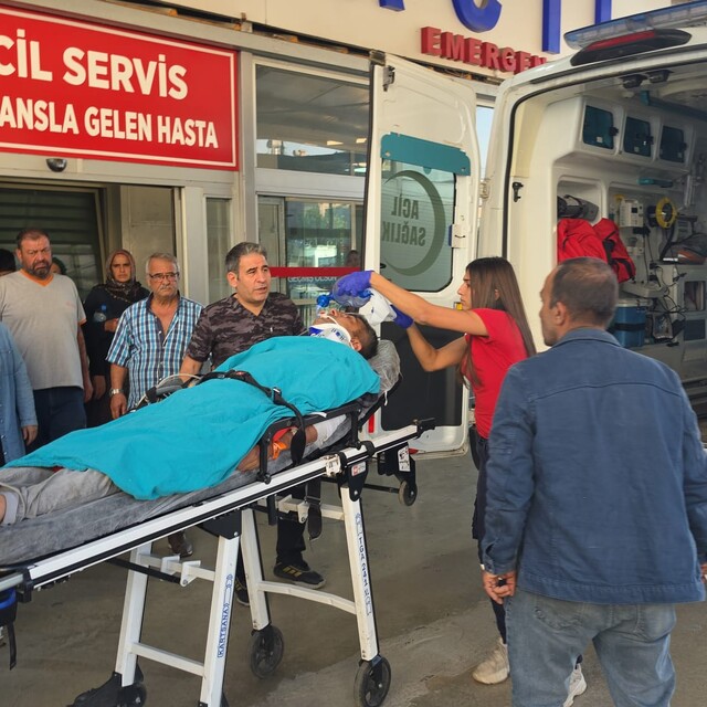Kestiği ağacın altında kalan emekli uzman çavuş ağır yaralandı