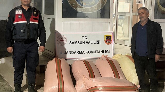 Çarşamba'da fındık dolandırıcılığı: 2 gözaltı