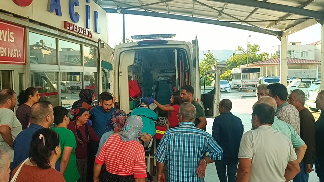 Adana'da kestiği ağaç üzerine devrilen kişi ağır yaralandı