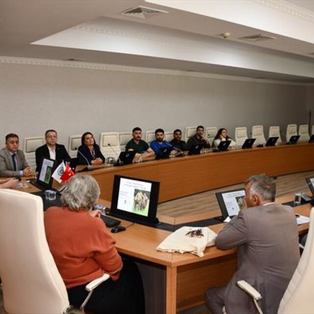Kars'ta Avrupa Bizonu için uluslararası bilimsel iş birliği