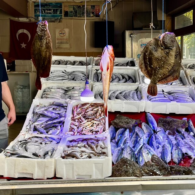 Sinop'ta balıkçı tezgahları bol avlanan kalkanla süslendi