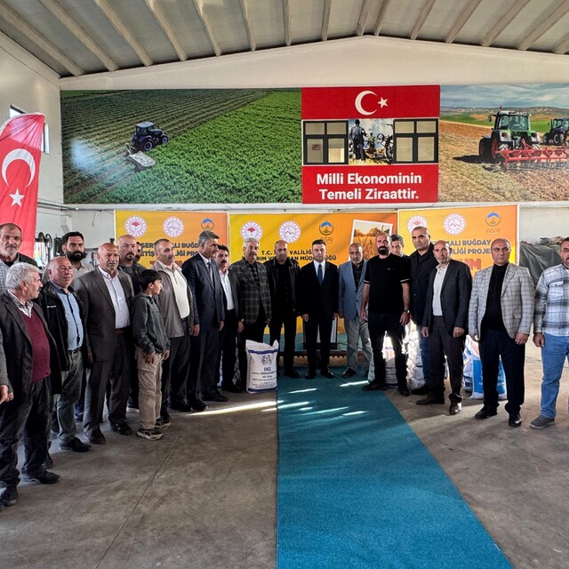 Ağrı'da üreticilere 550 ton buğday tohumu dağıtıldı